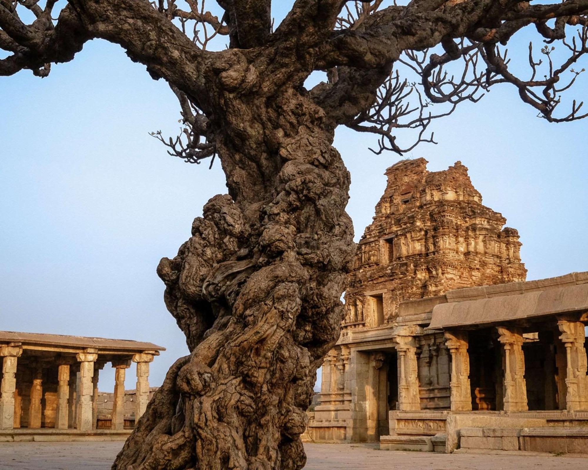 Hyatt Place Hampi Dış mekan fotoğraf