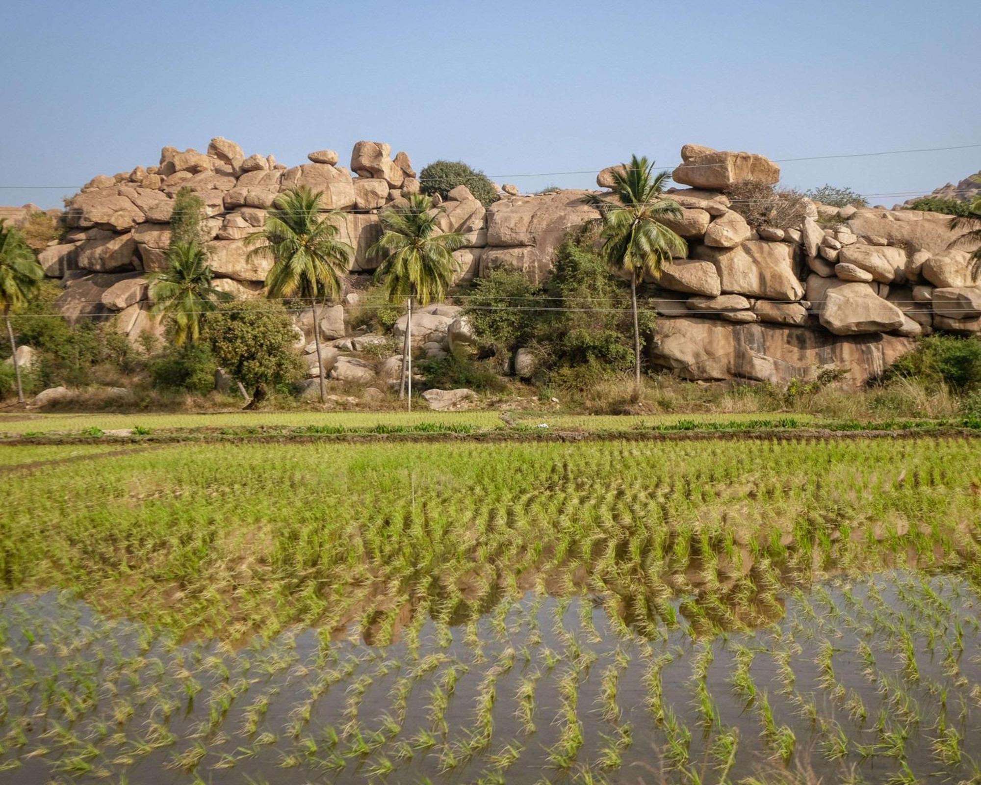 Hyatt Place Hampi Dış mekan fotoğraf